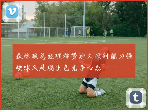 森林狼总经理称赞迪文投射能力强硬球风展现出色竞争心态