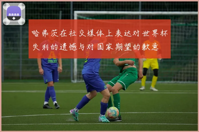 哈弗茨在社交媒体上表达对世界杯失利的遗憾与对国家期望的歉意