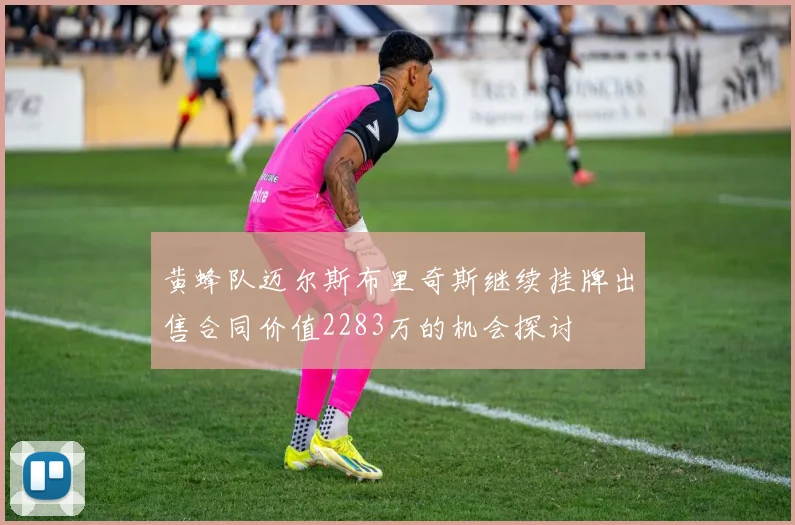 黄蜂队迈尔斯布里奇斯继续挂牌出售合同价值2283万的机会探讨